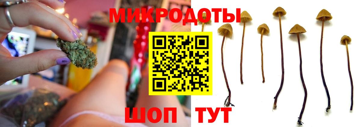 Псилоцибиновые грибы мухоморы  Вход с VPN  Нижнекамск 